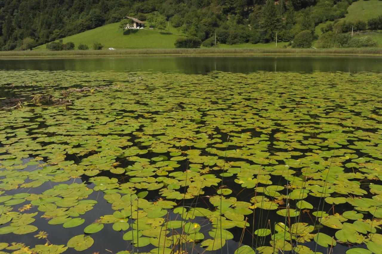 Hotel Garni My Ledro Pieve Di Ledro Εξωτερικό φωτογραφία