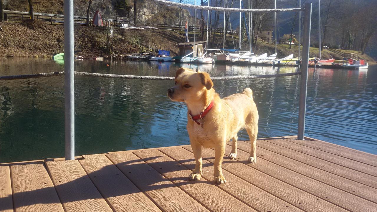 Hotel Garni My Ledro Pieve Di Ledro Εξωτερικό φωτογραφία